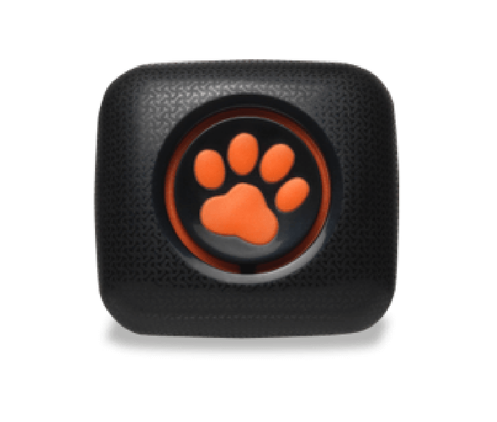 Dog Activity Monitor