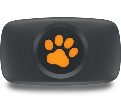 pitpat 2 dog activity monitor