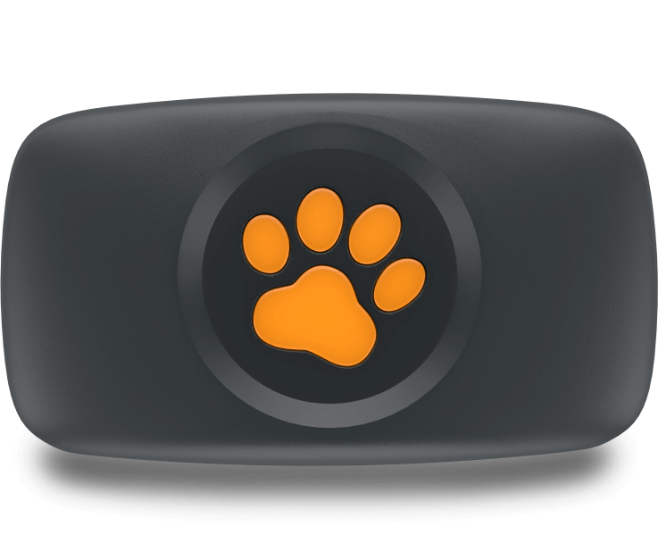 Dog GPS Tracker