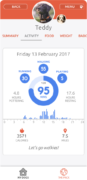 PitPat app activity
