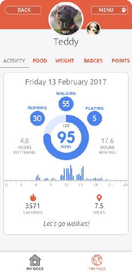 PitPat activity tab