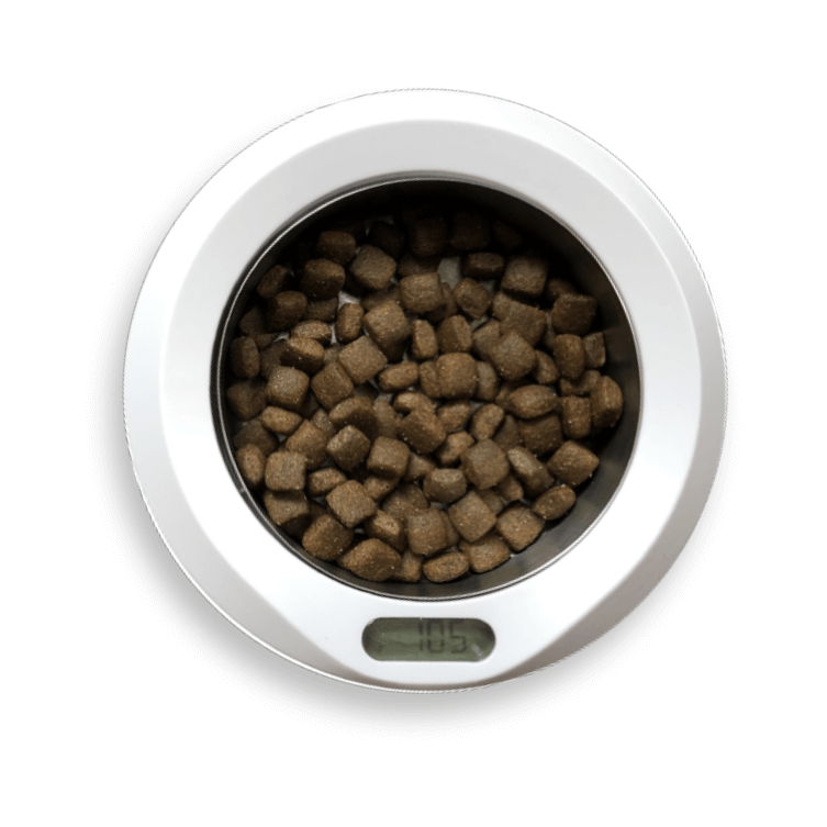 No more guesswork, just perfectly portioned food