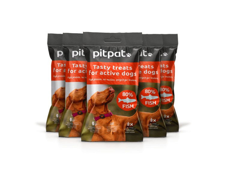 PitPat Treats