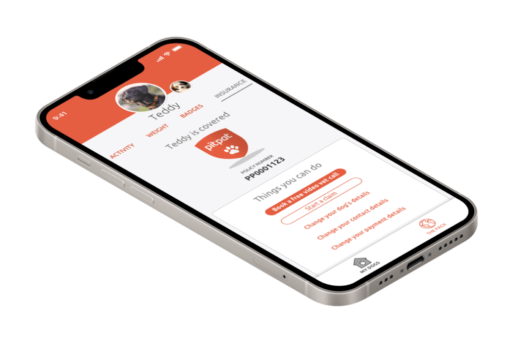 PitPat Insurance phone mockup