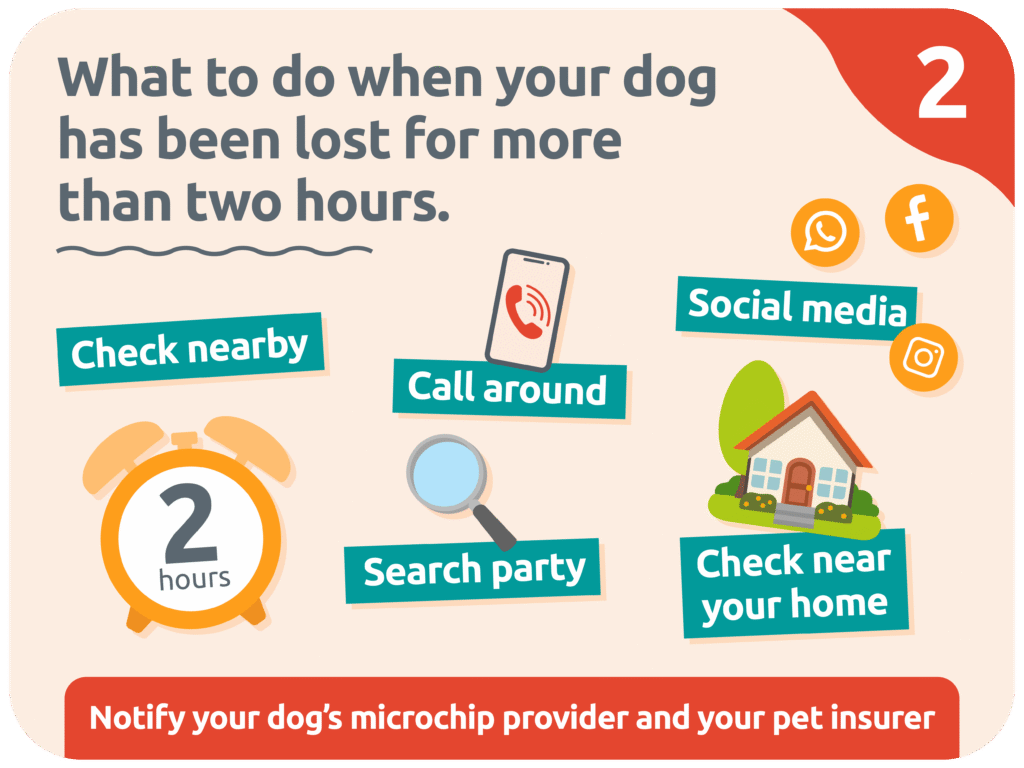 What to do if your dog has been lost for more than 2 hours.