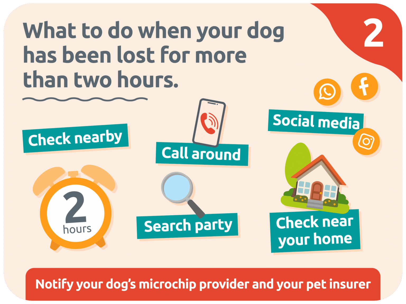 What to do if you lose your dog: a step-by-step guide - PitPat