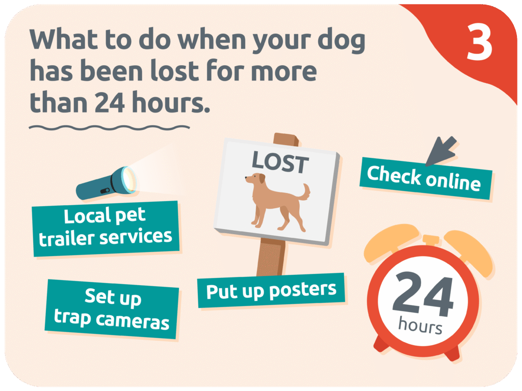 What to do if your dog has been missing for more than 24 hours.