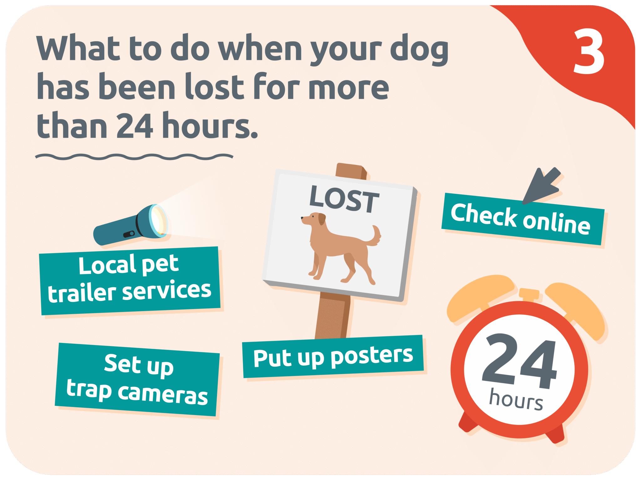 What to do if you lose your dog: a step-by-step guide - PitPat