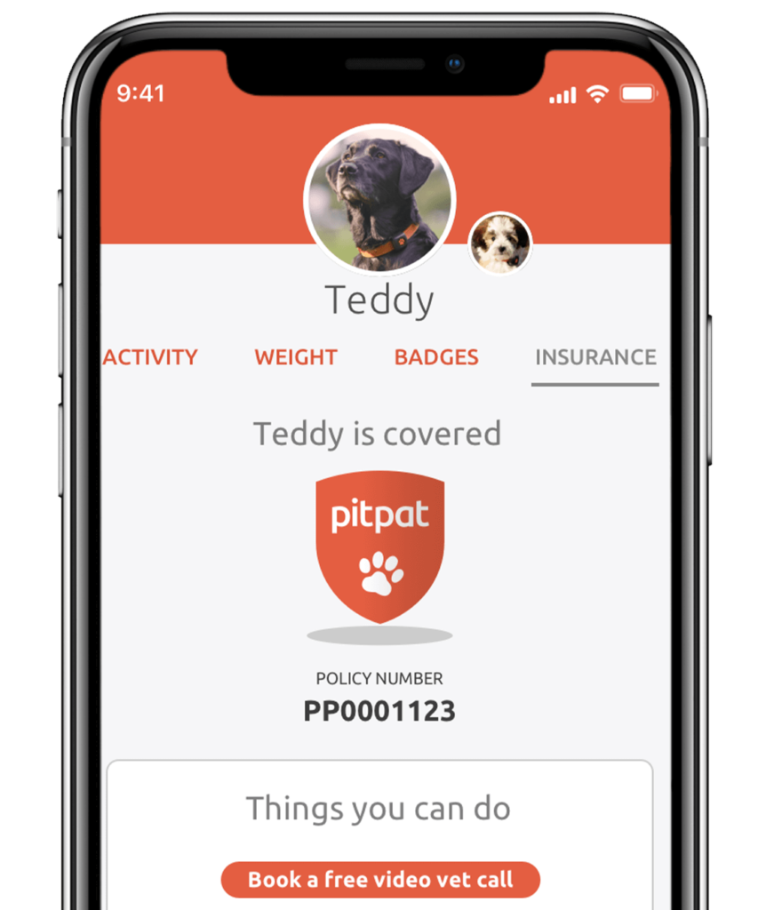 PitPAt insurance app visual