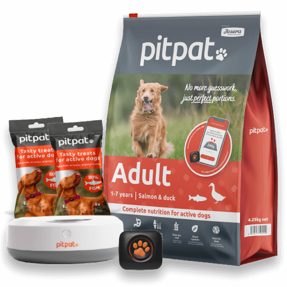 PitPat Starter Pack