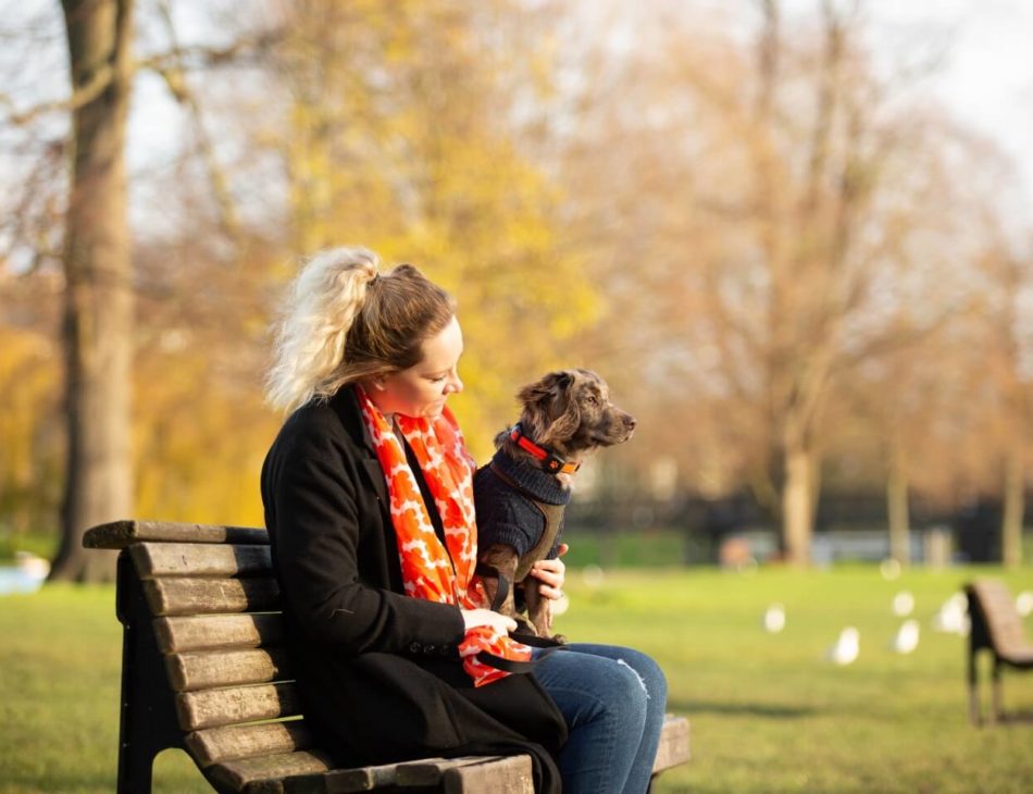 Woman sat on bench with cocker spaniel wearing a PitPat