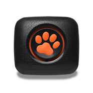 Activity Monitor with shadow