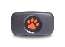 PitPat GPS Tracker transparent bg