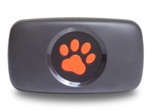 PitPat GPS Tracker transparent background