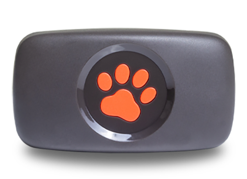 PitPat GPS Tracker transparent background