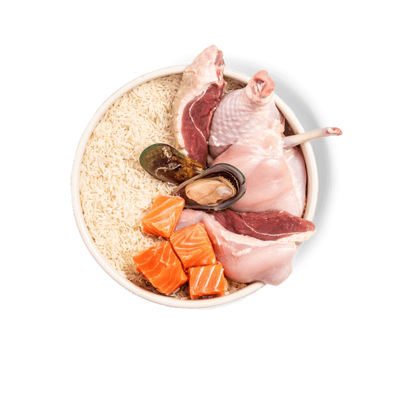 Bowl with real ingredients