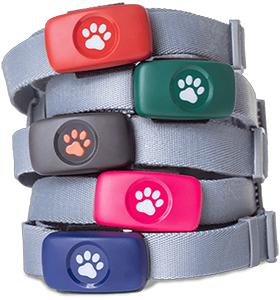 GPS collar stack -all colours