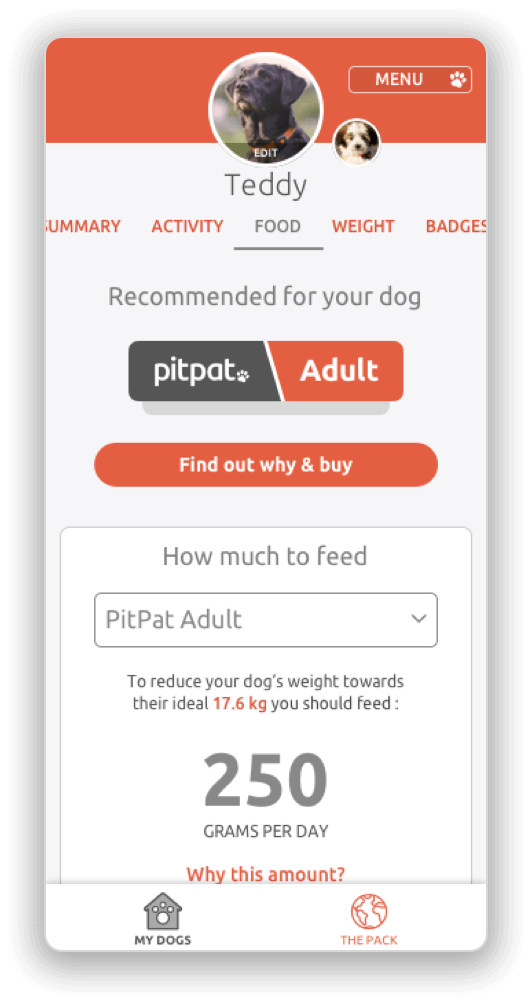 Food recommendation tab from in the PitPat app
