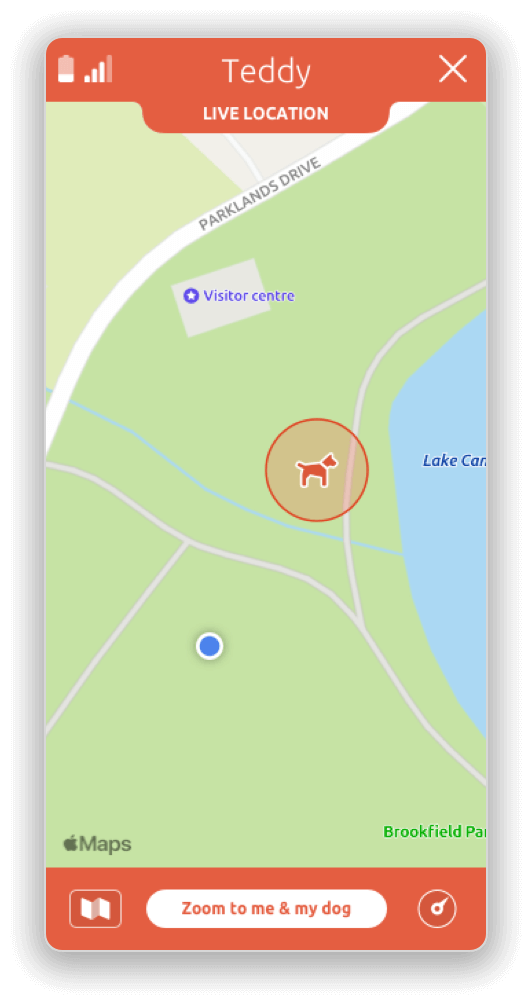 The PitPat app