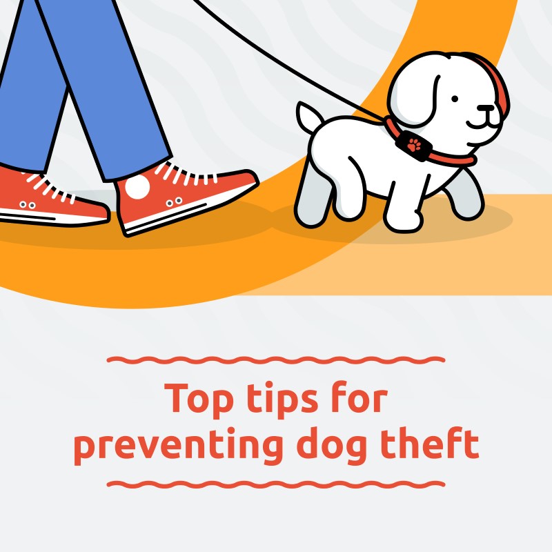 Top tips to prevent dog theft