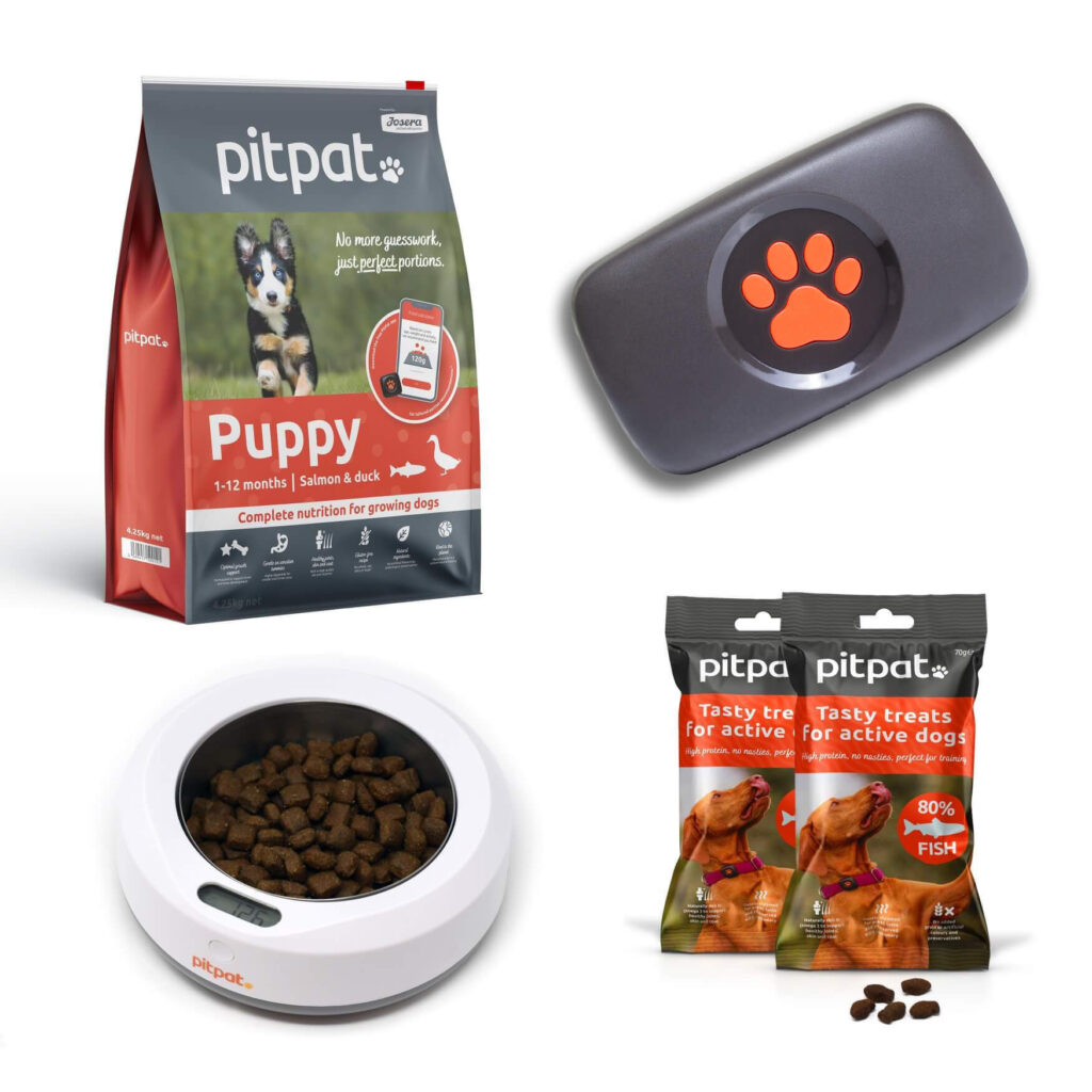 PitPat Puppy start pack with GPS tracker