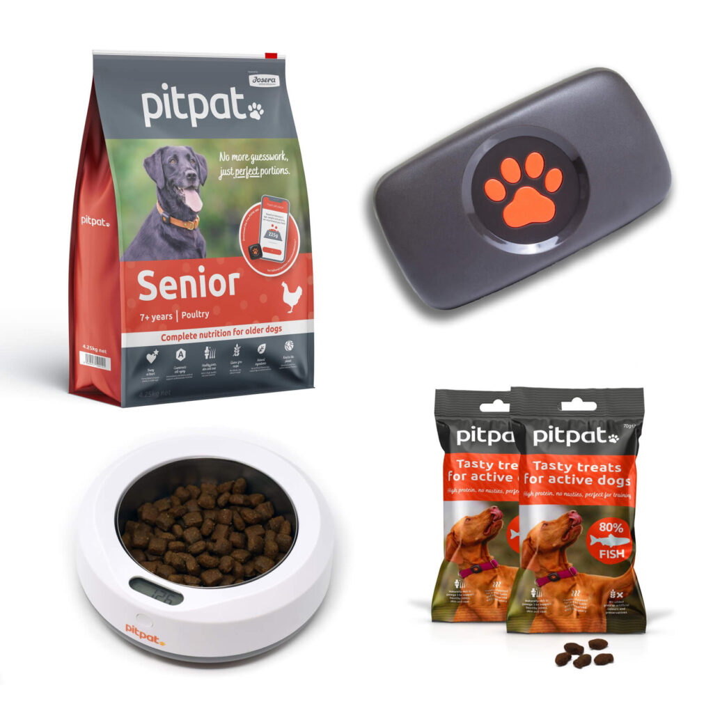 PitPat Senior start pack with GPS tracker