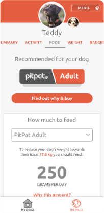 Food feature in the PitPat app showing a dog's daily food recommendation 