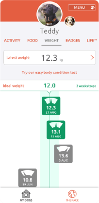 Weight feature in the PitPat app showing a dog's weight loss progression