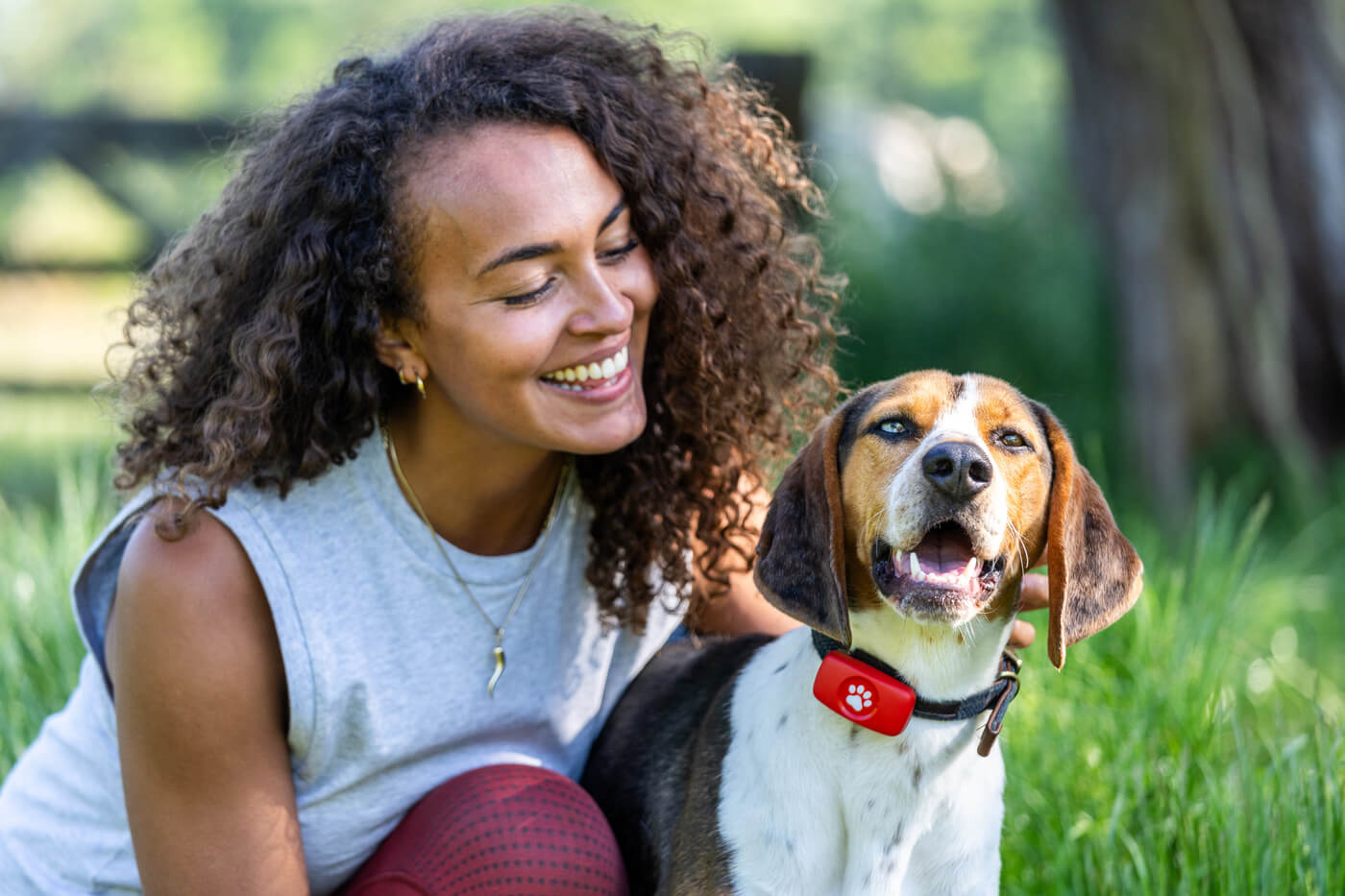 How to train your dog to walk offlead PitPat