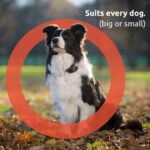 pitpat gps