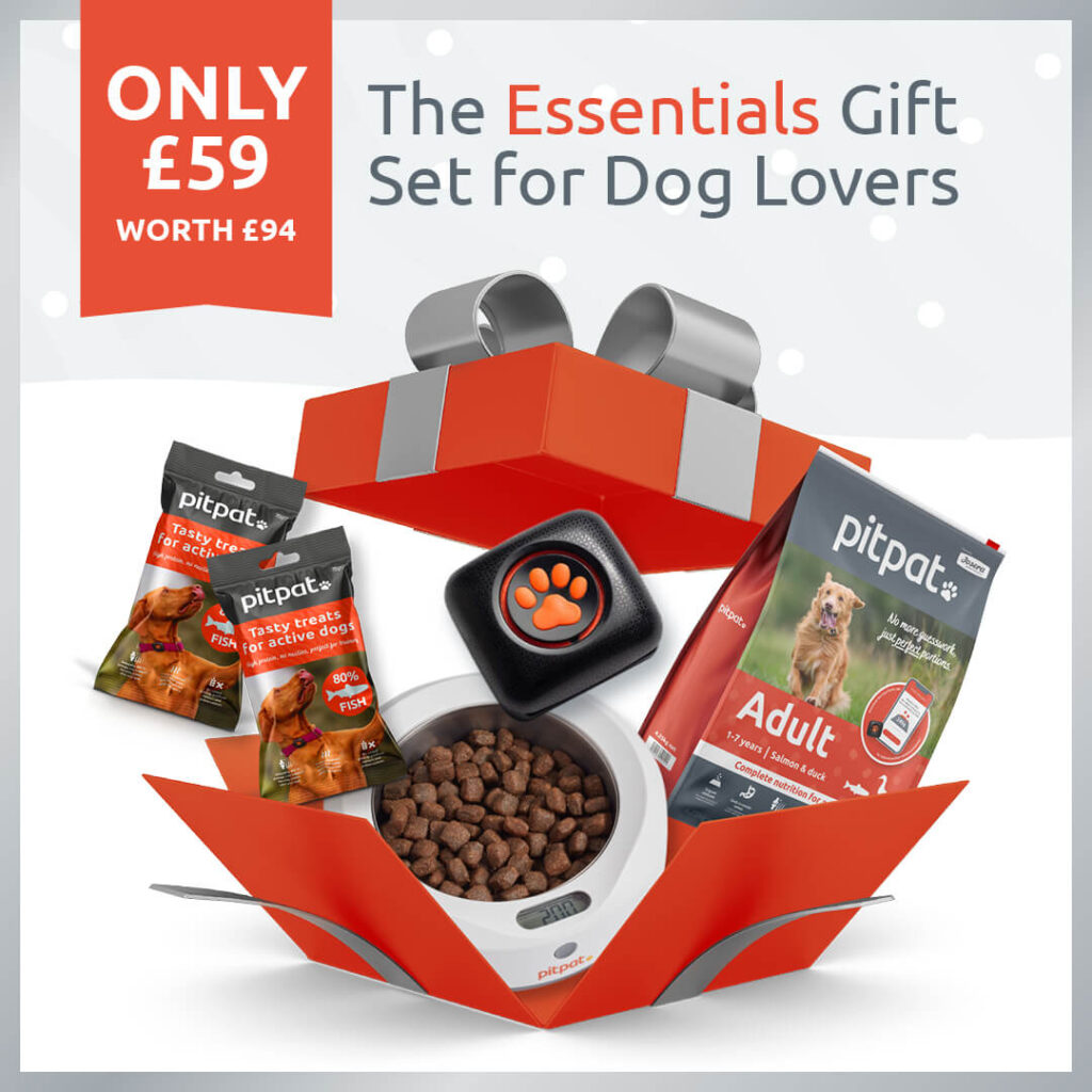 Get PitPat's Essential Gift Set, a Dog Activity Monitor, Food, Treats and Weighing Bowl for only £59 (worth £94) this Christmas