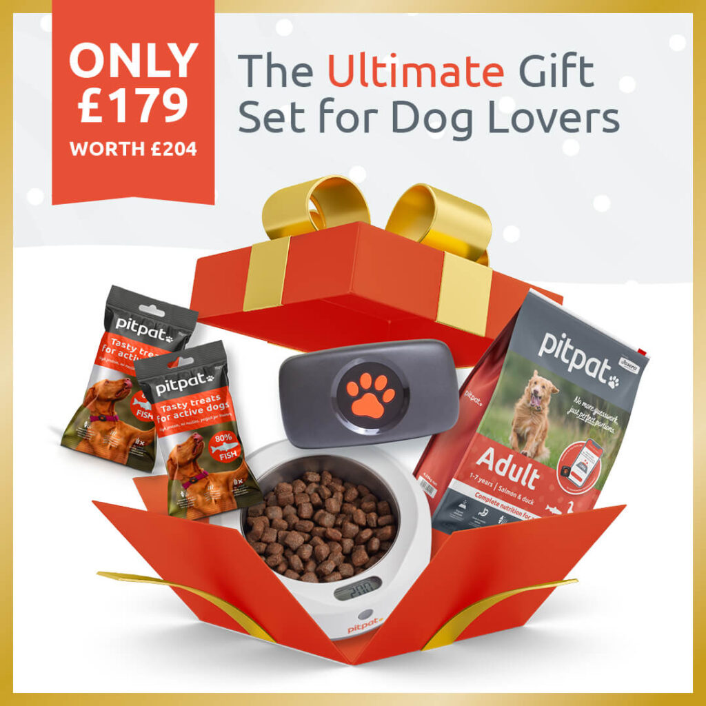 Get PitPat's ultimate gift set for only £179 (worth £204) including Dog GPS Tracker, Food, Weighing Bowl and Treats
