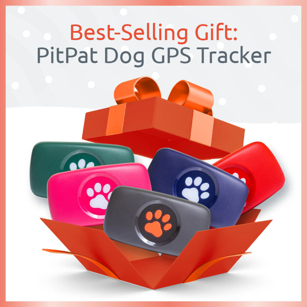 Get PitPat's Best-Selling Gift, a Dog GPS Tracker from £149 this Christmas. Comes in five unique colours (Black, Pink, Blue, Green and Red).
