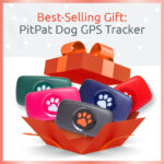 Get PitPat's Best-Selling Gift, a Dog GPS Tracker from £149 this Christmas. Comes in five unique colours (Black, Pink, Blue, Green and Red).