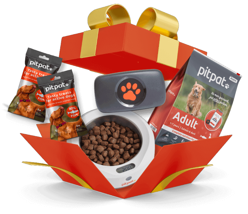 PitPat's ultimate gift set including Dog GPS Tracker, Food, Weighing Bowl and Treats