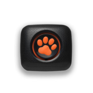 PitPat Dog Activity Monitor in black with a light shadow below and around