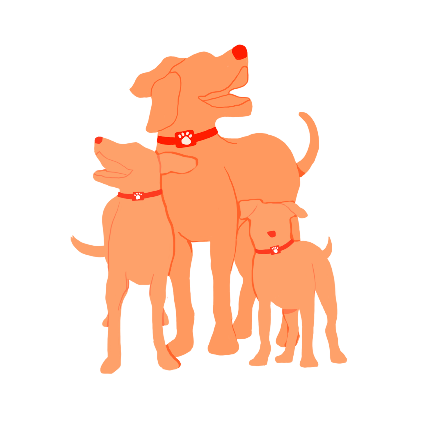 PitPat Stars PitPat Pitpat stars pitpat