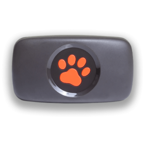 PitPat Dog GPS Tracker in black with a light shadow below and around