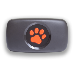 PitPat, Dog GPS Trackers and Dog Activity Monitors