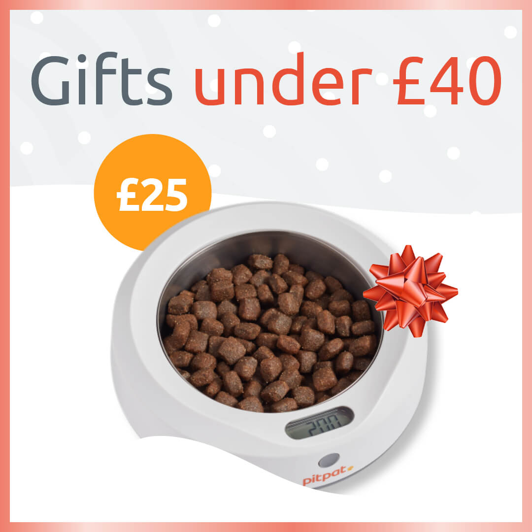 Get PitPat gifts for under £40 this Christmas. Including a Dog Activity Monitor, Weighing Bowl and Treats