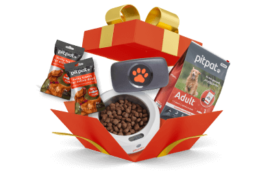 Dog GPS Tracker Bundles