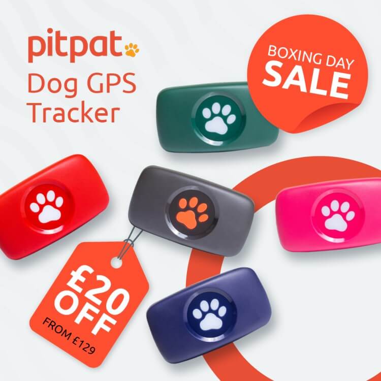 Gps Trackers That Don'T Require Subscription