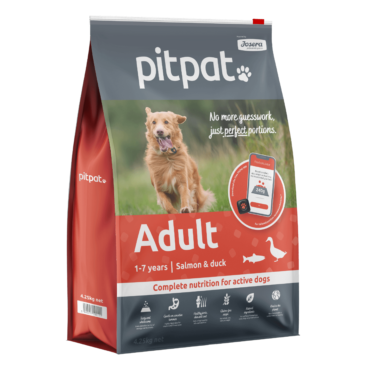 PitPat Adult