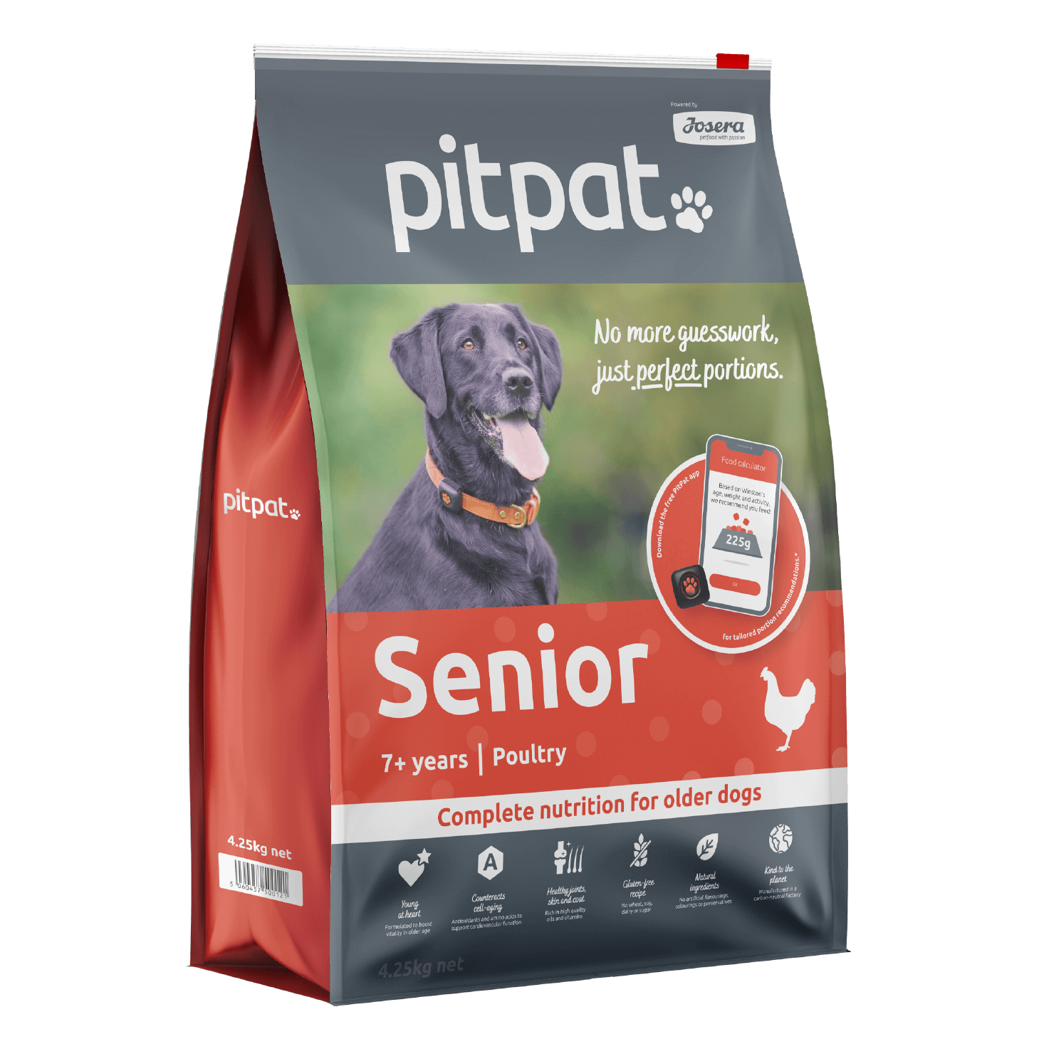 PitPat Senior