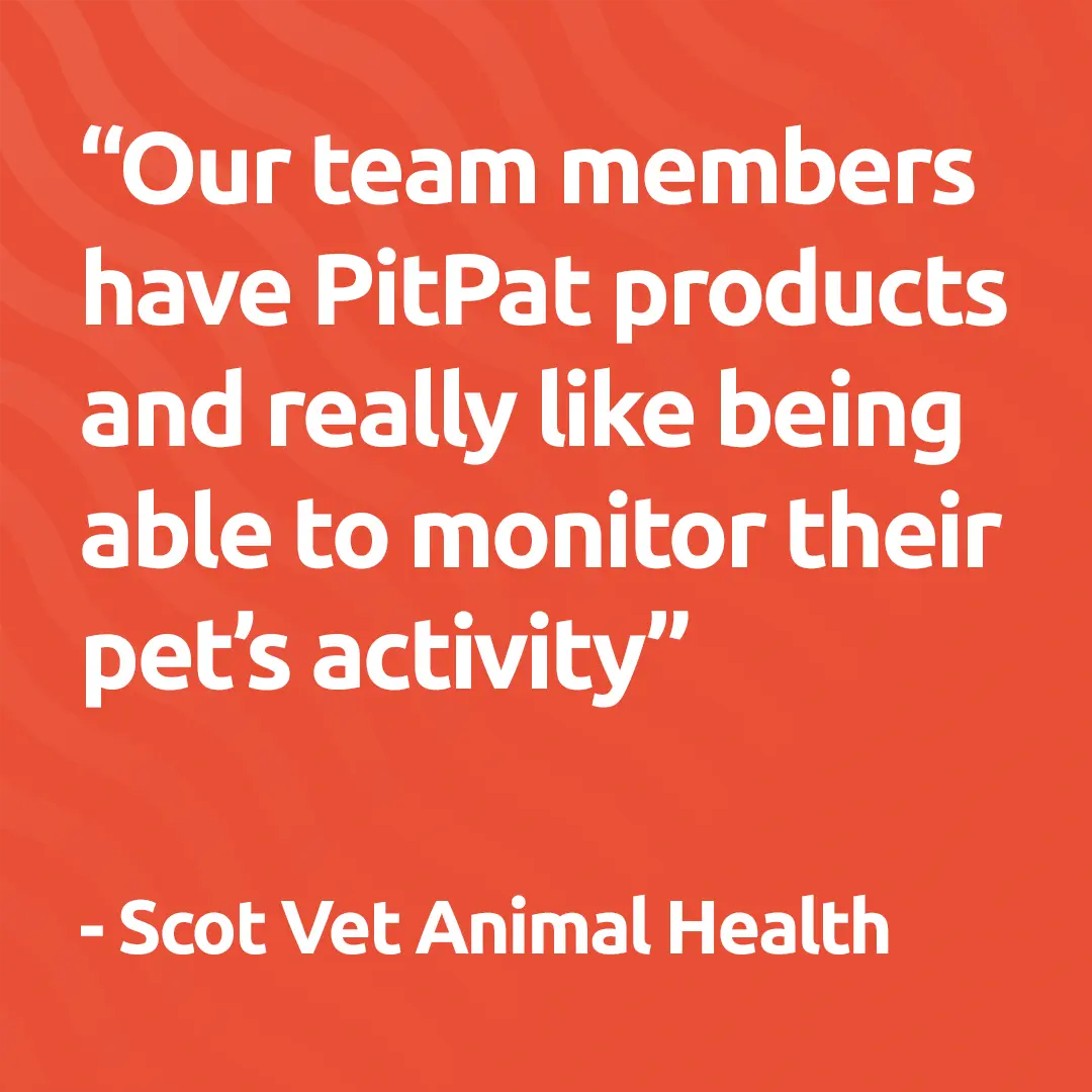 Our team members have PitPat products and really like being able to monitor their pets activity - Scot Vet Animal Health
