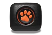 PitPat Dog Activity Monitor