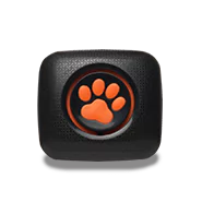 PitPat Dog Activity Monitor