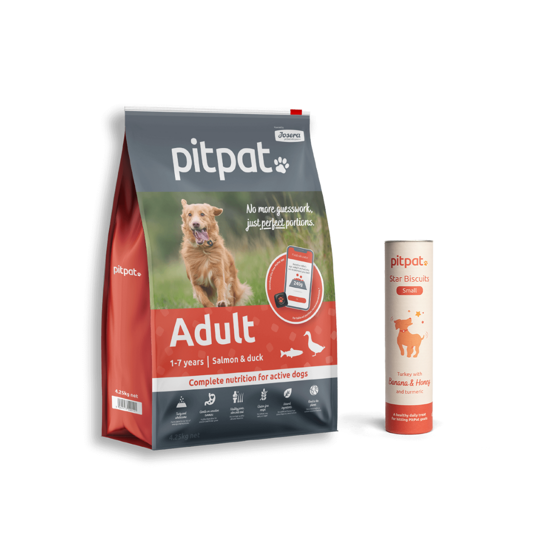 Bag of PitPat kibble food for adult dogs and PitPat stars biscuits.