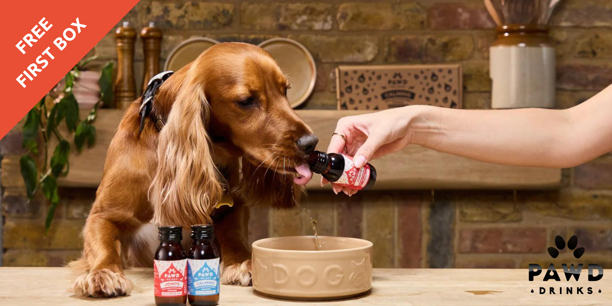 Dog drinking liquid joint supplement by PAWD Drinks