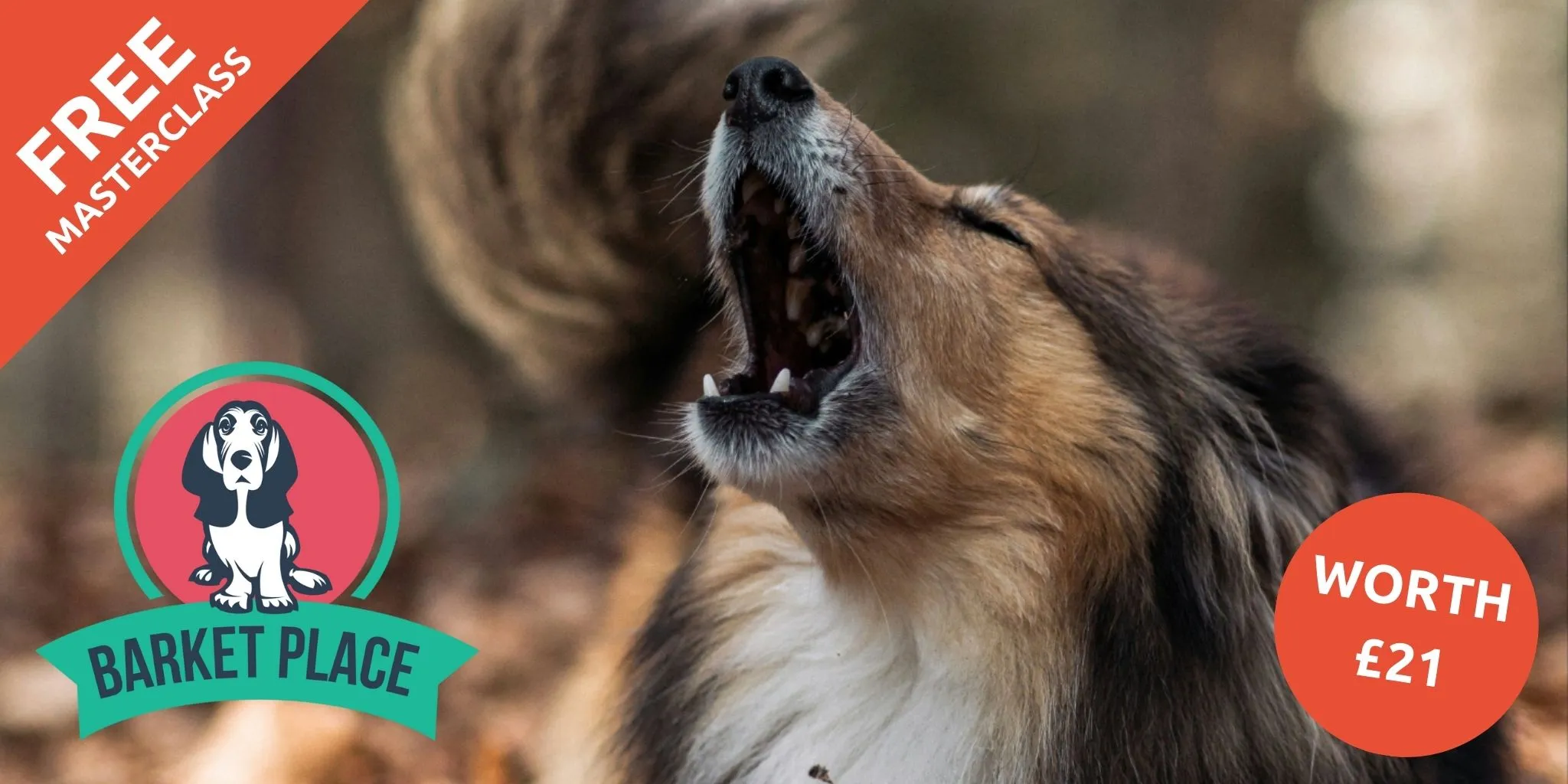 Barket Place Free Masterclass in Breaking the barking habit